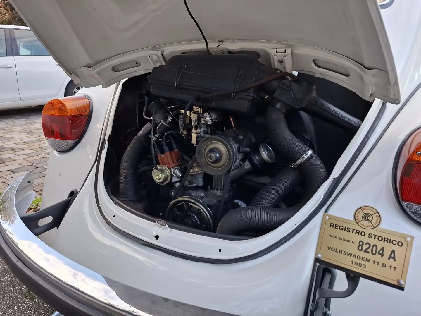 Volkswagen Maggiolino Blanc - 2