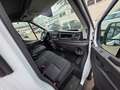 Ford Transit Kasten 350 L3 Trend Weiß - thumbnail 22