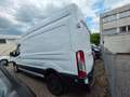 Ford Transit Kasten 350 L3 Trend Weiß - thumbnail 15