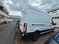 Ford Transit Kasten 350 L3 Trend Weiß - thumbnail 7