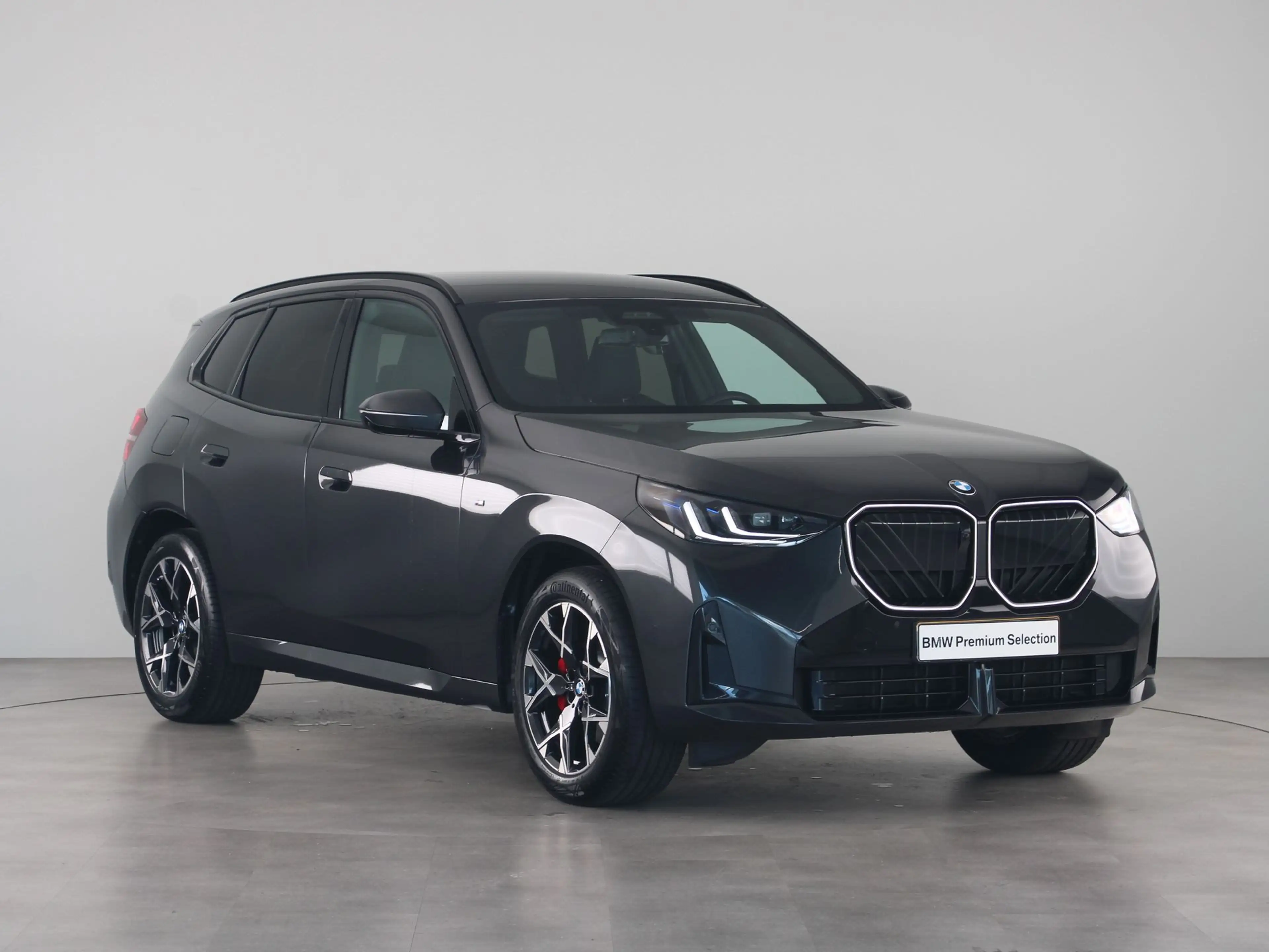 BMW X3 30e xDrive SoH 100% — photo 8