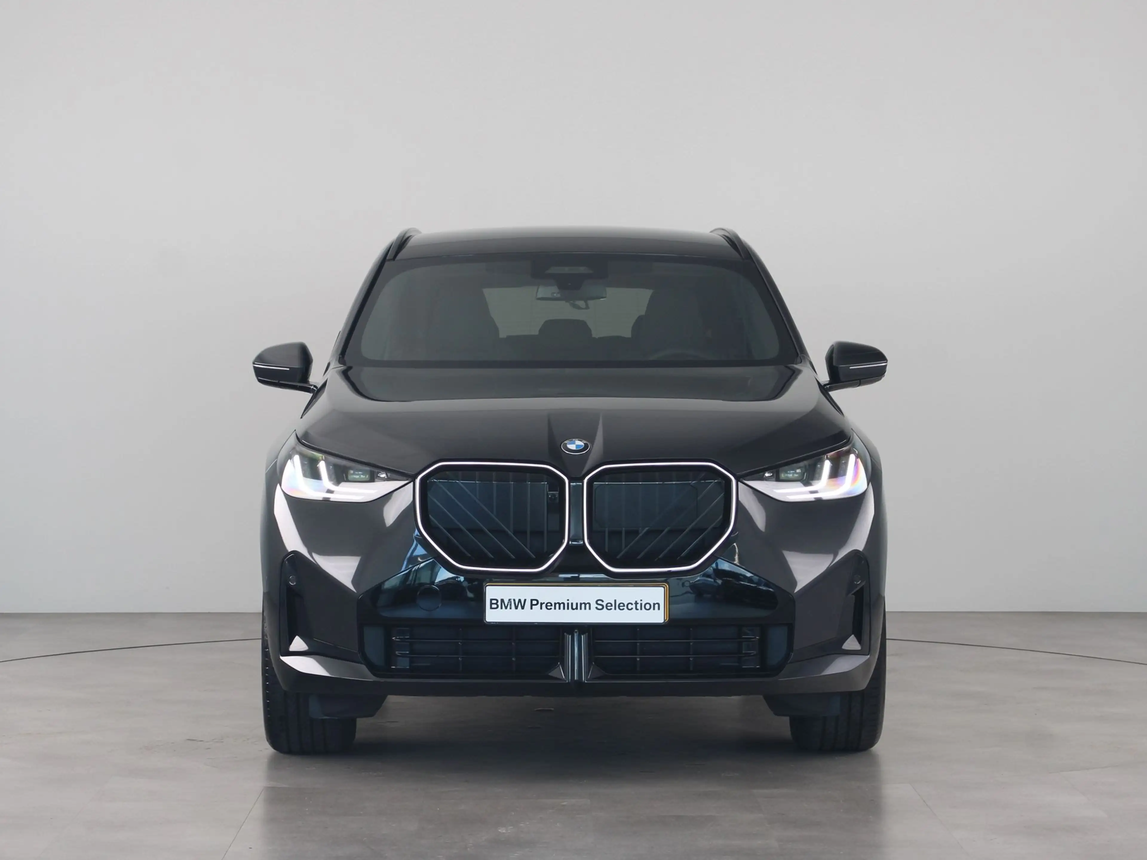 BMW X3 30e xDrive SoH 100% — photo 7