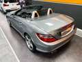 Mercedes-Benz SLK 250 cgi BlueEfficiency 204 Cv "AMG EDITION 1" Ezüst - thumbnail 14