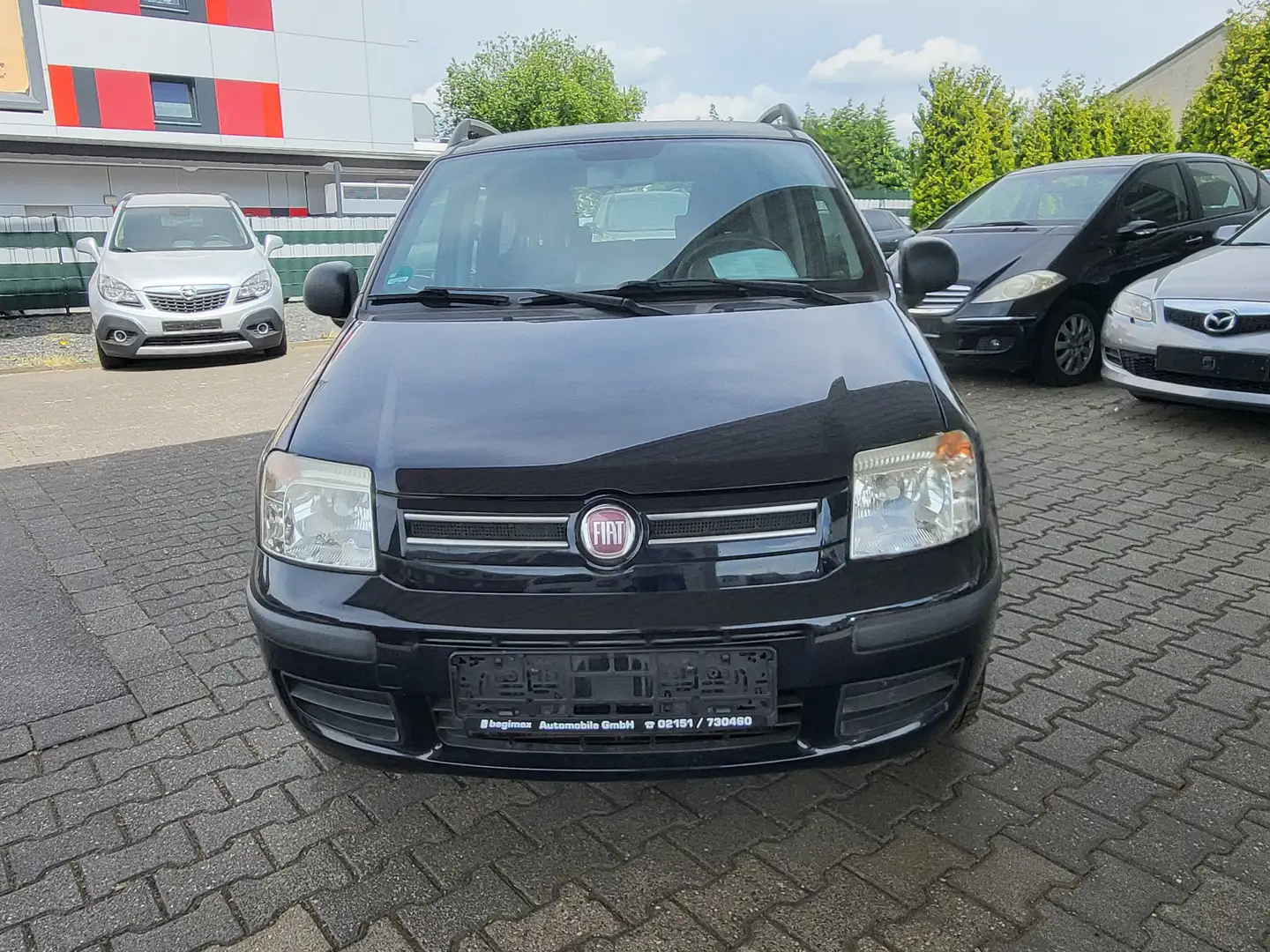 Fiat Panda 1.2 TÜV NEU *KLIMA* KUPPLUNG NEU! - DYNAMIK Bleu - 2