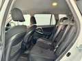Toyota RAV 4 2.2D-CAT Executive 4x4 CS ADS Blanco - thumbnail 14