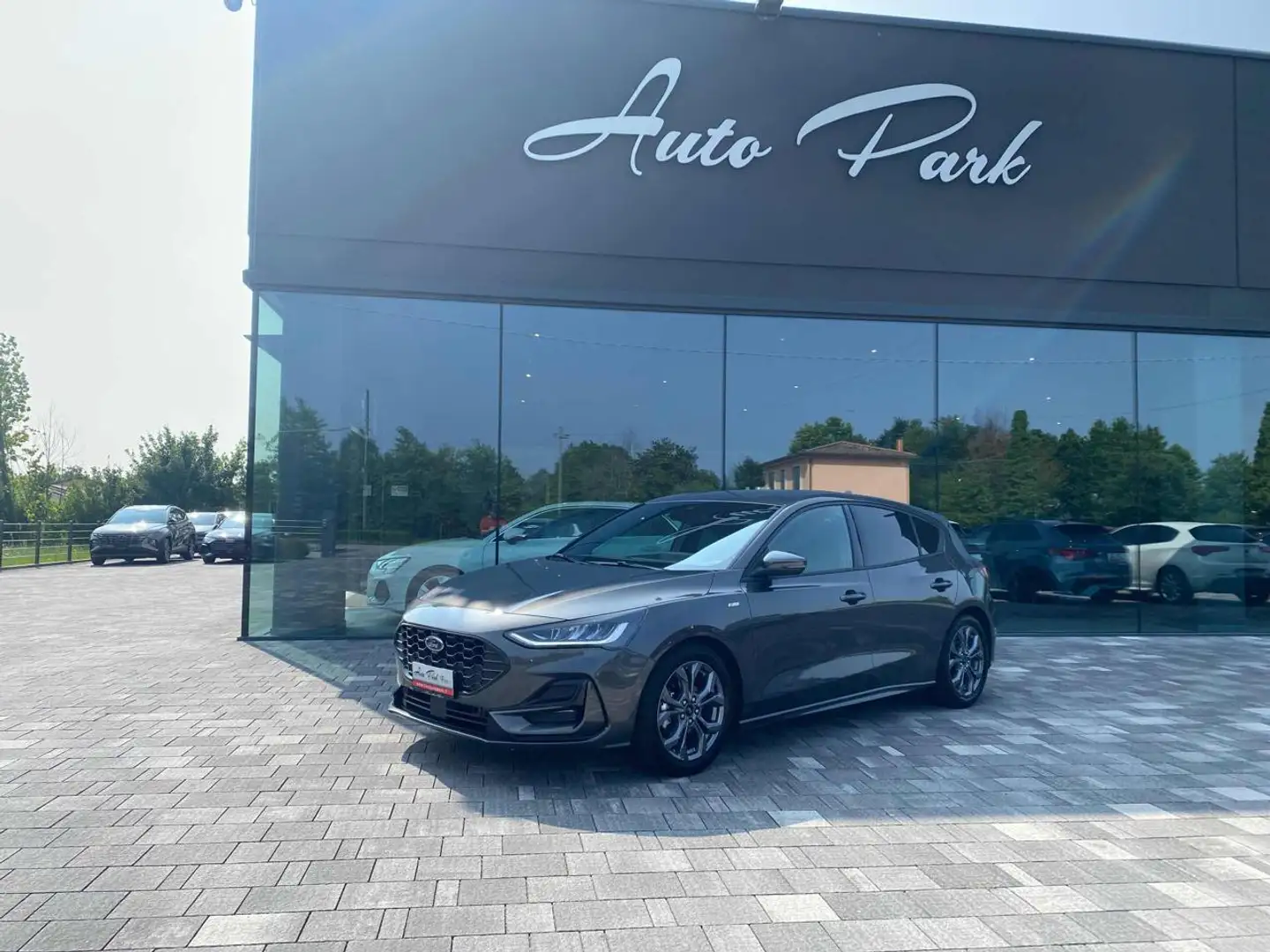 Ford Focus 1.5 EcoBlue 115 CV automatico 5p. ST-Line Grigio - 1