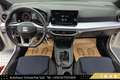 SEAT Ibiza 1,0 FR TSI // FACELIFT // WERKSGARANTIE // ACC // Weiß - thumbnail 29