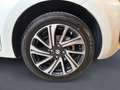Suzuki Swift 1.2 HYBRID 83 HP AZIENDALE NEOPATENTATI Bianco - thumbnail 7