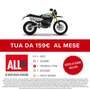 Fantic Caballero 500 RALLY Vert - thumbnail 2