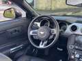 Ford Mustang Mustang Convertible 5.0 V8 CABRIOLET GT Version EU Schwarz - thumbnail 9