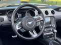 Ford Mustang Mustang Convertible 5.0 V8 CABRIOLET GT Version EU Schwarz - thumbnail 10
