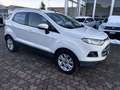 Ford EcoSport 1.5 tdci Business c/navi 95cv - thumbnail 2