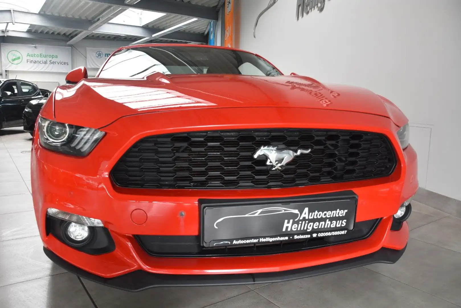 Ford Mustang 1.Hand  Navi Leder Tempo KAMERA   S.heft Rot - 1