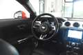Ford Mustang 1.Hand  Navi Leder Tempo KAMERA   S.heft Rot - thumbnail 16