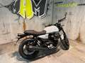 Moto Guzzi V 7 2025 Aktion plus 2 Jahre Anschlussgarantie Šedá - thumbnail 2