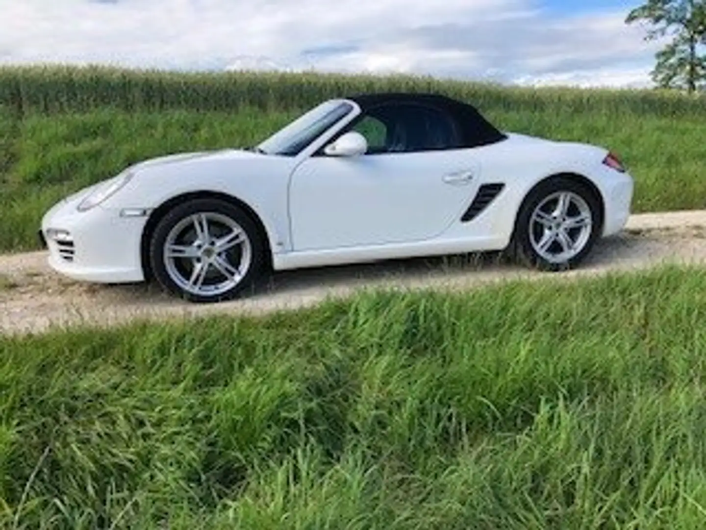Porsche Boxster Basis Blanc - 2
