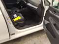 Volkswagen Golf Life 1.5 TSI ACC/LED/digiC/Sitzhzg/02.30Gar Weiß - thumbnail 9