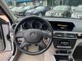 Mercedes-Benz C 180 C 180/BlueEfficiency/Klima/Limo/Euro5/AHK Gris - thumbnail 11