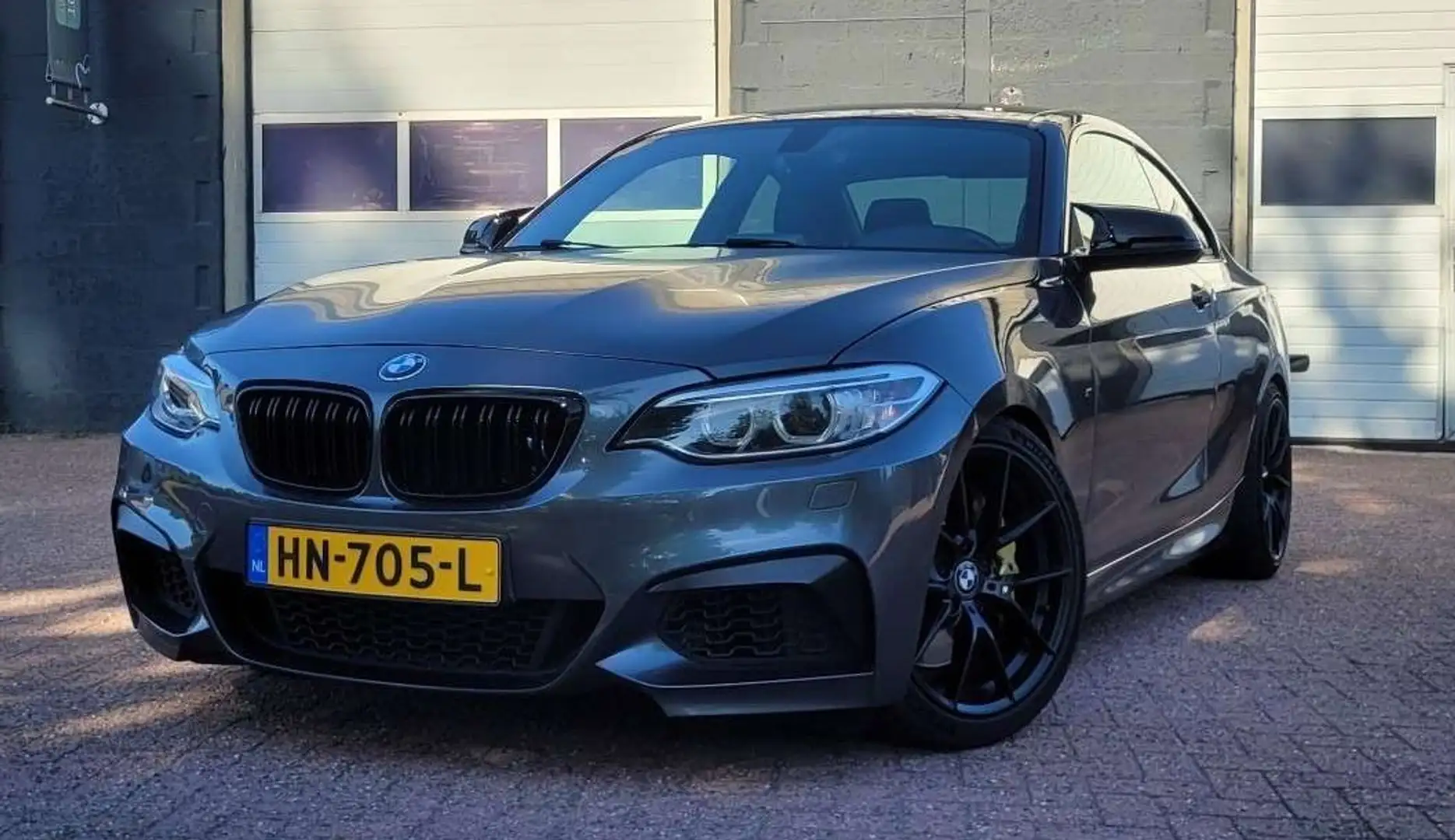 BMW 235 3.0 Coupé 2015 High Executive|AUT|M-Performance| Gris - 1
