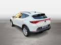 CUPRA Formentor 1.5 TSI Automatik Winterpaket Weiß - thumbnail 3