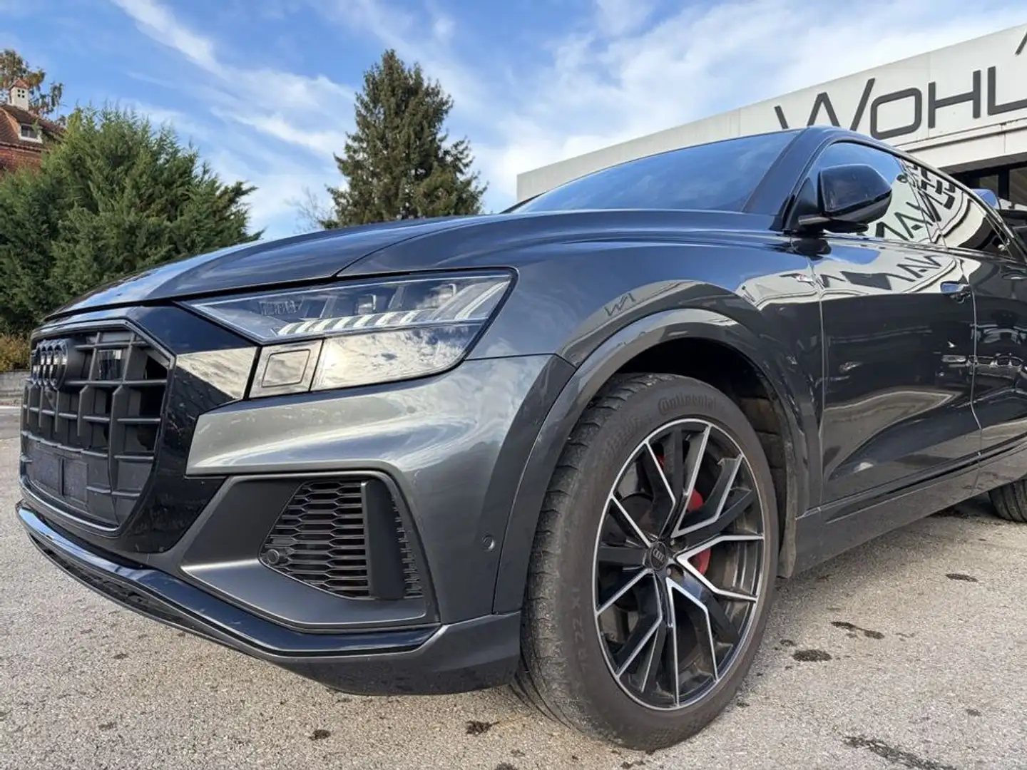 Audi Q8 60 TFSI e quattro Grau - 2