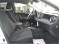 Toyota RAV 4 2.5 Hybrid 2WD Business PROMO WEB White - thumbnail 32