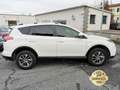 Toyota RAV 4 2.5 Hybrid 2WD Business PROMO WEB White - thumbnail 42