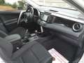 Toyota RAV 4 2.5 Hybrid 2WD Business PROMO WEB White - thumbnail 31