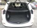 Toyota RAV 4 2.5 Hybrid 2WD Business PROMO WEB White - thumbnail 37