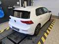 Volkswagen Golf VIII 2.0 TDI DSG LIFE +LED +ACC +VIRTUAL +NAVI +S Weiß - thumbnail 3