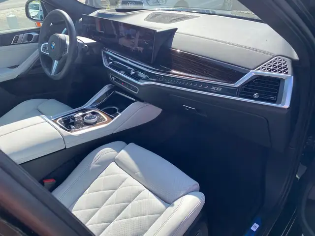 BMW X6 view 9