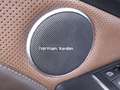 Mercedes-Benz SLK 250 SLK Roadster 250 cgi Edition1 auto Premium AMG DESIGNO MAGIC SKY HARMAN KARDON SED RISC LUCI AMBIENTE Grau - thumbnail 37