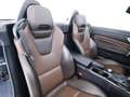 Mercedes-Benz SLK 250 SLK Roadster 250 cgi Edition1 auto Premium AMG DESIGNO MAGIC SKY HARMAN KARDON SED RISC LUCI AMBIENTE Grau - thumbnail 21