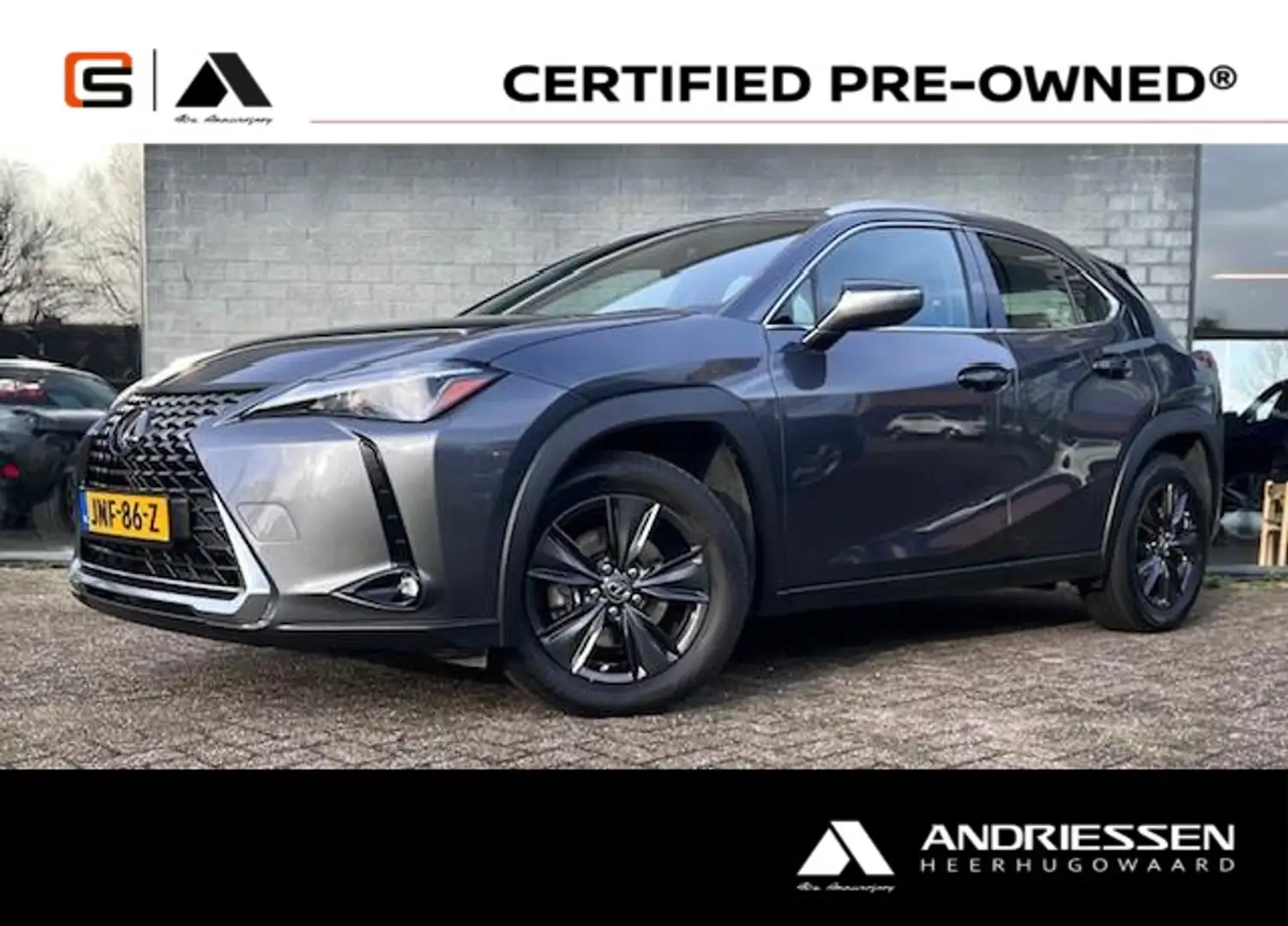 Lexus UX 250h Grau - 1