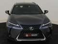 Lexus UX 250h Grau - thumbnail 9