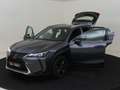 Lexus UX 250h Grau - thumbnail 10