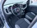 Fiat Panda 1.0 firefly hybrid City Cross s PARI AL NUOVO Grigio - thumbnail 7