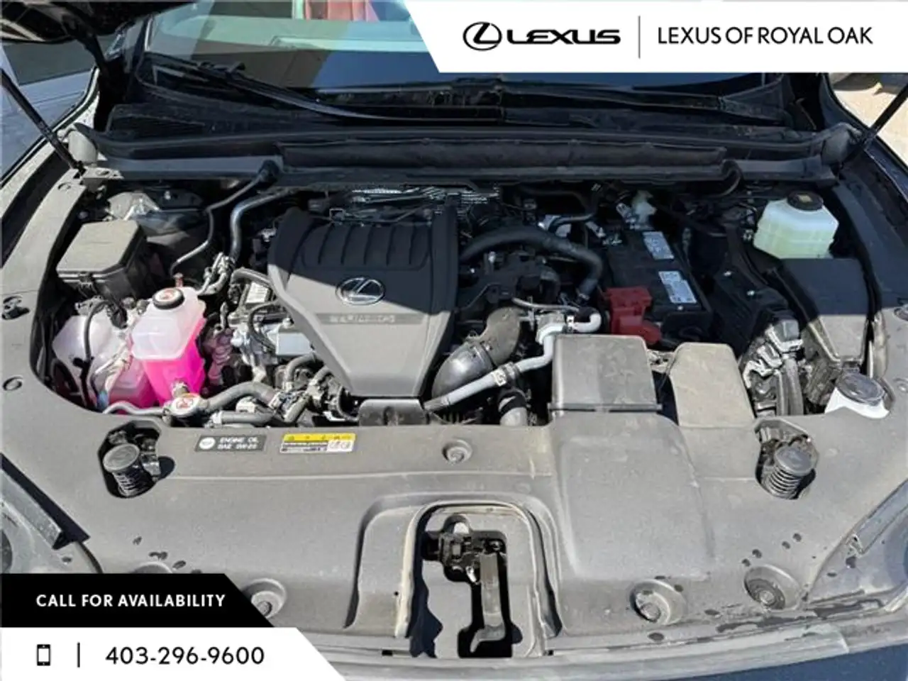 Lexus RX снимка Lexus RX