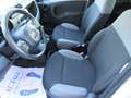 Fiat Panda 1.0 firefly hybrid s&s 70cv 5pti Blanc - thumbnail 7
