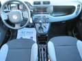 Fiat Panda 1.0 firefly hybrid s&s 70cv 5pti Blanc - thumbnail 10