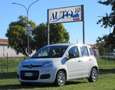 Fiat Panda 1.0 firefly hybrid s&s 70cv 5pti Blanc - thumbnail 1
