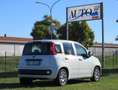 Fiat Panda 1.0 firefly hybrid s&s 70cv 5pti Blanc - thumbnail 3