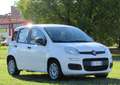 Fiat Panda 1.0 firefly hybrid s&s 70cv 5pti Blanc - thumbnail 2