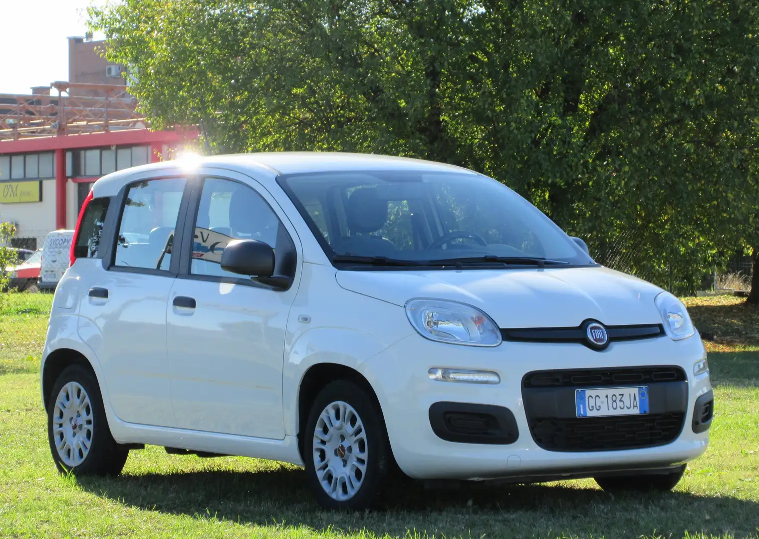 Fiat Panda 1.0 firefly hybrid s&s 70cv 5pti Bianco - 2