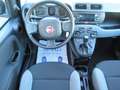 Fiat Panda 1.0 firefly hybrid s&s 70cv 5pti Blanc - thumbnail 11