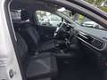Citroen C3 C3 1.2 Shine LED/PDC/MULTI-RADIO/KLIMA AT Blanc - thumbnail 11