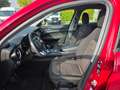 Alfa Romeo Stelvio 2.2 Turbodiesel 160 CV AT8 RWD Rosso - thumbnail 9