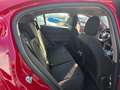 Alfa Romeo Stelvio 2.2 Turbodiesel 160 CV AT8 RWD Rosso - thumbnail 12