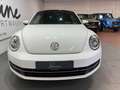 Volkswagen Beetle Cup/Autom./Alu18 Zoll/Navi/Gl.Schiebedach Weiß - thumbnail 3