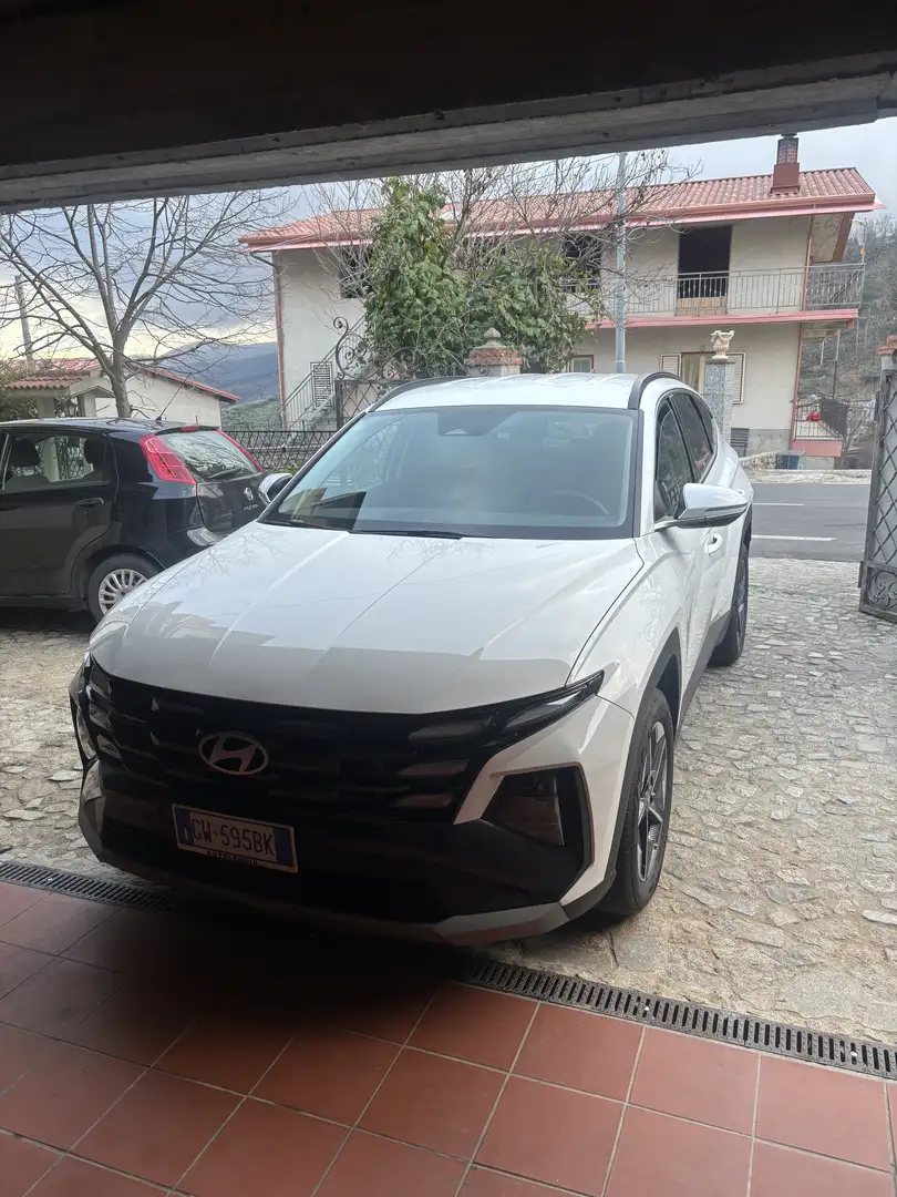 Hyundai TUCSON bussiniss - 2